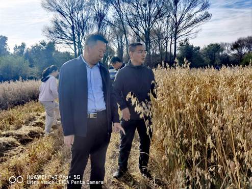 cf11940b1f196bb085b11dcb3fa6c01b