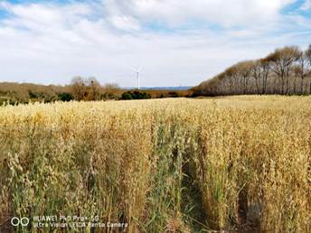 498a6abf46e9161d37a65058cf5aacb6