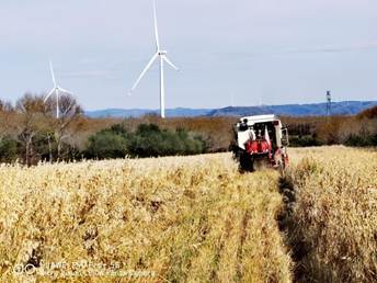 145de1980b11693aaa4a0de499336467