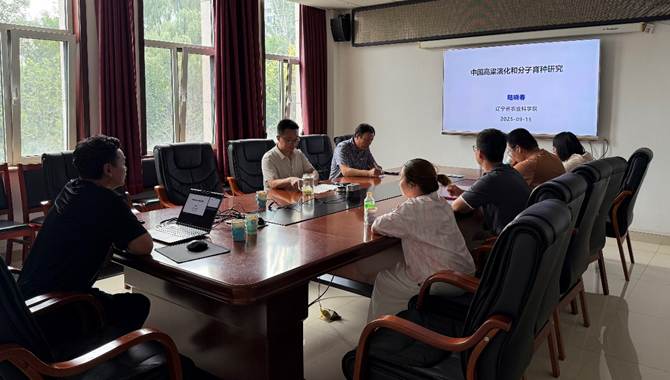 一群人在餐厅用餐 AI 生成的内容可能不正确。