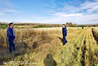 64c293cfd77511e5b8c0591f0f927e9c