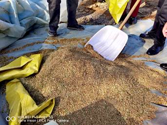 682ea3874b19a7e8e84797e7296b4e1a